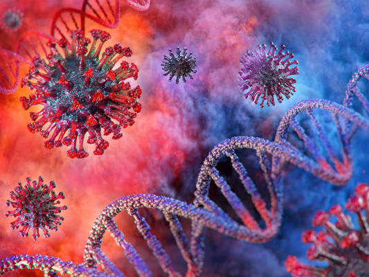 Korona virusi poznati kao RNK virusi